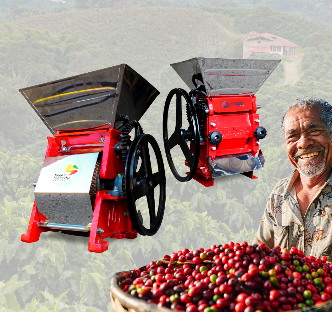 Café-panameño.jpg Café-panameño.jpg